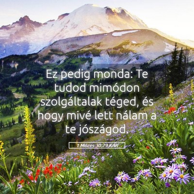 Picture 05 - 1 Mózes 30:29 KAR - Ez pedig monda: Te tudod mimódon szolgáltalak - Bible Verse Picture