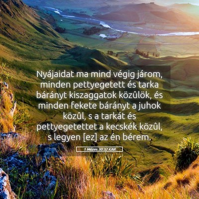 Picture 05 - 1 Mózes 30:32 KAR - Nyájaidat ma mind végig járom, minden - Bible Verse Picture