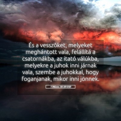 Picture 05 - 1 Mózes 30:38 KAR - És a vesszõket, melyeket meghántott vala, - Bible Verse Picture
