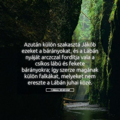 Picture 05 - 1 Mózes 30:40 KAR - Azután külön szakasztá Jákób ezeket a - Bible Verse Picture