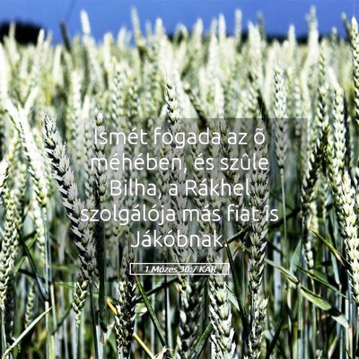 Picture 05 - 1 Mózes 30:7 KAR - Ismét fogada az õ méhében, és szûle Bilha, - Bible Verse Picture
