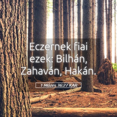 Picture 05 - 1 Mózes 36:27 KAR - Eczernek fiai ezek: Bilhán, Zahaván, - Bible Verse Picture