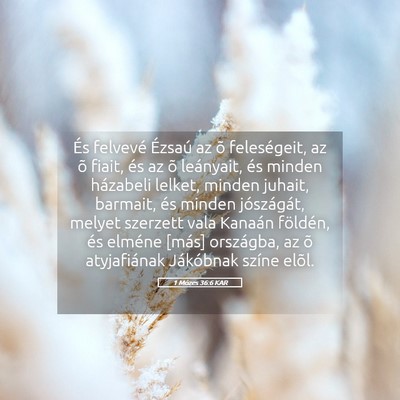 Picture 05 - 1 Mózes 36:6 KAR - És felvevé Ézsaú az õ feleségeit, az õ - Bible Verse Picture