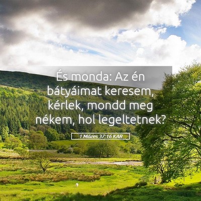 Picture 05 - 1 Mózes 37:16 KAR - És monda: Az én bátyáimat keresem, kérlek, - Bible Verse Picture
