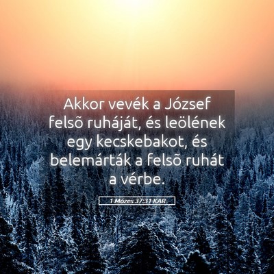 Picture 05 - 1 Mózes 37:31 KAR - Akkor vevék a József felsõ ruháját, és - Bible Verse Picture