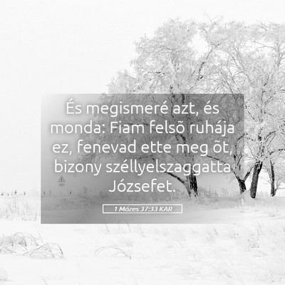 Picture 05 - 1 Mózes 37:33 KAR - És megismeré azt, és monda: Fiam felsõ - Bible Verse Picture