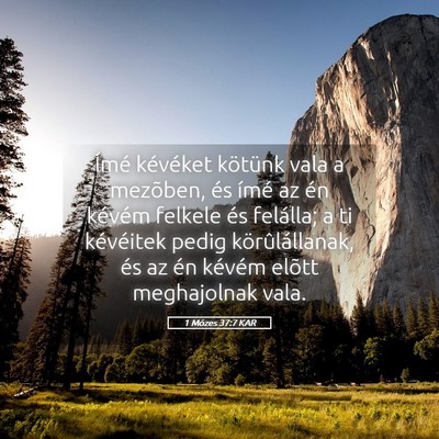 Picture 05 - 1 Mózes 37:7 KAR - Ímé kévéket kötünk vala a mezõben, és - Bible Verse Picture