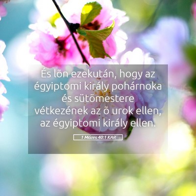Picture 05 - 1 Mózes 40:1 KAR - És lõn ezekután, hogy az égyiptomi király - Bible Verse Picture