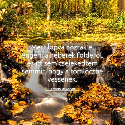 Picture 05 - 1 Mózes 40:15 KAR - Mert lopva hoztak el engem a héberek - Bible Verse Picture