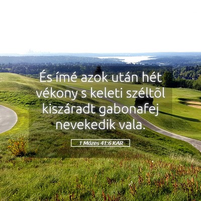 Picture 05 - 1 Mózes 41:6 KAR - És ímé azok után hét vékony s keleti - Bible Verse Picture
