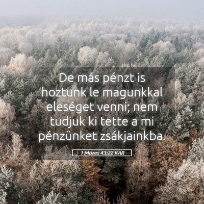 Picture 05 - 1 Mózes 43:22 KAR - De más pénzt is hoztunk le magunkkal eleséget - Bible Verse Picture