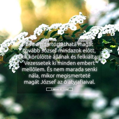 Picture 05 - 1 Mózes 45:1 KAR - És nem tartóztathatá magát tovább József - Bible Verse Picture