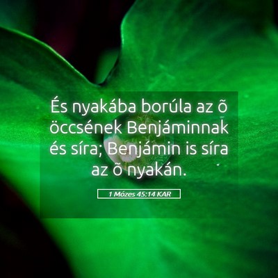 Picture 05 - 1 Mózes 45:14 KAR - És nyakába borúla az õ öccsének - Bible Verse Picture