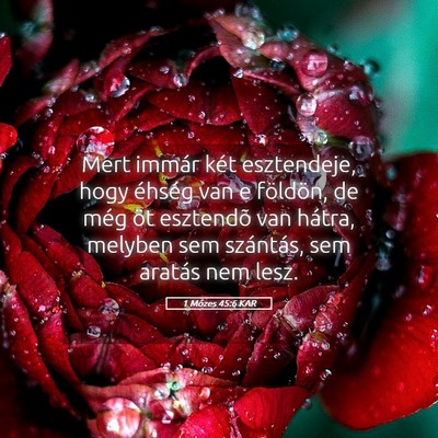 Picture 05 - 1 Mózes 45:6 KAR - Mert immár két esztendeje, hogy éhség van e - Bible Verse Picture