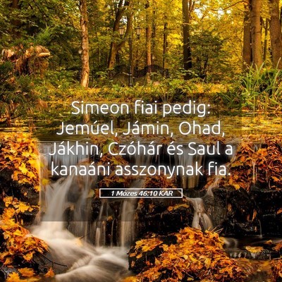 Picture 05 - 1 Mózes 46:10 KAR - Simeon fiai pedig: Jemúel, Jámin, Ohad, - Bible Verse Picture