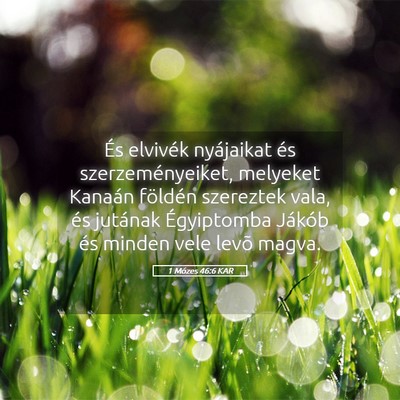Picture 05 - 1 Mózes 46:6 KAR - És elvivék nyájaikat és szerzeményeiket, - Bible Verse Picture