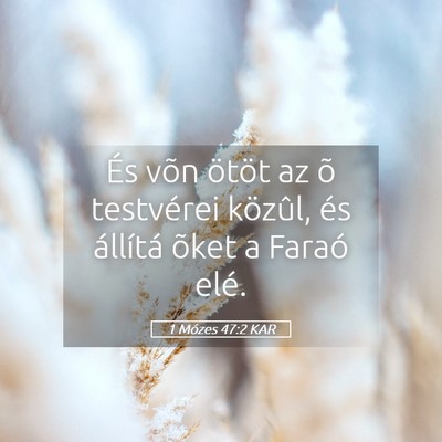 Picture 05 - 1 Mózes 47:2 KAR - És võn ötöt az õ testvérei közûl, és - Bible Verse Picture