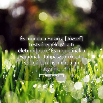 Picture 05 - 1 Mózes 47:3 KAR - És monda a Faraó a [József] testvéreinek: Mi - Bible Verse Picture