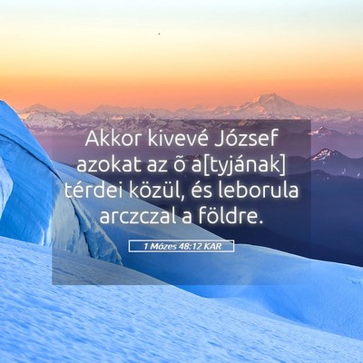 Picture 05 - 1 Mózes 48:12 KAR - Akkor kivevé József azokat az õ a[tyjának] - Bible Verse Picture