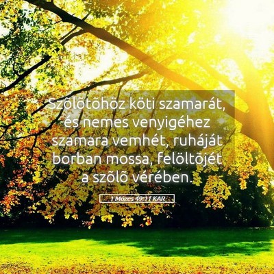 Picture 05 - 1 Mózes 49:11 KAR - Szõlõtõhöz köti szamarát, és nemes - Bible Verse Picture