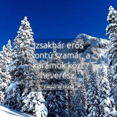 Picture 05 - 1 Mózes 49:14 KAR - Izsakhár erõs csontú szamár, a karámok közt - Bible Verse Picture