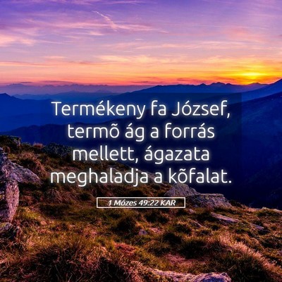 Picture 05 - 1 Mózes 49:22 KAR - Termékeny fa József, termõ ág a forrás - Bible Verse Picture
