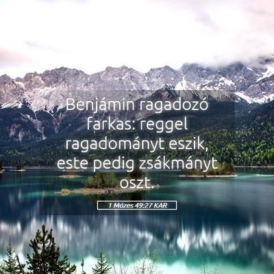Picture 05 - 1 Mózes 49:27 KAR - Benjámin ragadozó farkas: reggel ragadományt - Bible Verse Picture
