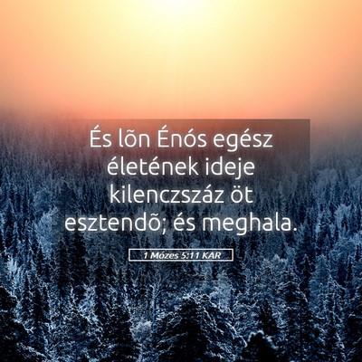 Picture 05 - 1 Mózes 5:11 KAR - És lõn Énós egész életének ideje - Bible Verse Picture