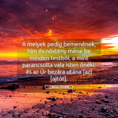Picture 05 - 1 Mózes 7:16 KAR - A melyek pedig bemenének, hím és nõstény - Bible Verse Picture