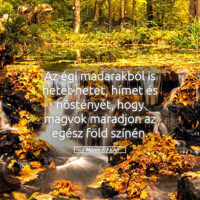 Picture 05 - 1 Mózes 7:3 KAR - Az égi madarakból is hetet-hetet, hímet és - Bible Verse Picture