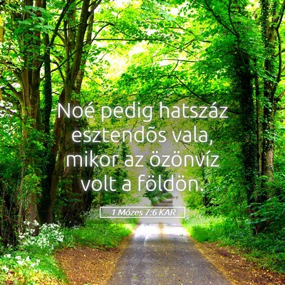 Picture 05 - 1 Mózes 7:6 KAR - Noé pedig hatszáz esztendõs vala, mikor az - Bible Verse Picture