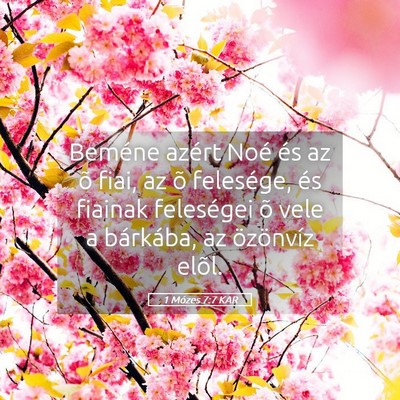 Picture 05 - 1 Mózes 7:7 KAR - Beméne azért Noé és az õ fiai, az õ - Bible Verse Picture