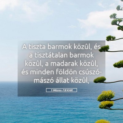 Picture 05 - 1 Mózes 7:8 KAR - A tiszta barmok közûl, és a tisztátalan - Bible Verse Picture