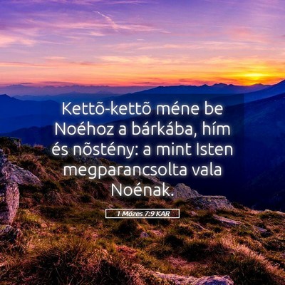 Picture 05 - 1 Mózes 7:9 KAR - Kettõ-kettõ méne be Noéhoz a bárkába, hím - Bible Verse Picture