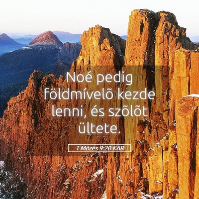 Picture 05 - 1 Mózes 9:20 KAR - Noé pedig földmívelõ kezde lenni, és - Bible Verse Picture