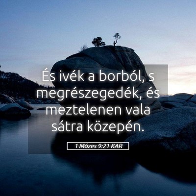 Picture 05 - 1 Mózes 9:21 KAR - És ivék a borból, s megrészegedék, és - Bible Verse Picture