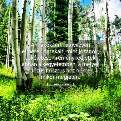 Picture 05 - 1 Péter 1:13 KAR - Annakokáért felövezvén elmétek derekait, - Bible Verse Picture
