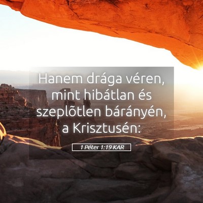 Picture 05 - 1 Péter 1:19 KAR - Hanem drága véren, mint hibátlan és - Bible Verse Picture