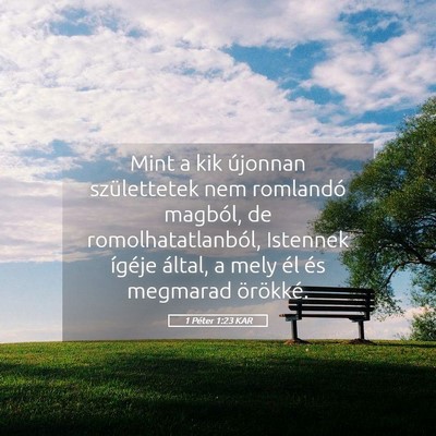 Picture 05 - 1 Péter 1:23 KAR - Mint a kik újonnan születtetek nem romlandó - Bible Verse Picture