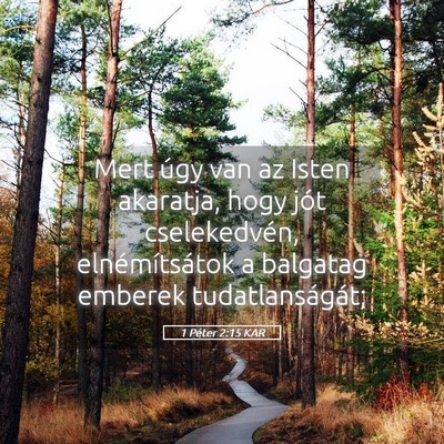 Picture 05 - 1 Péter 2:15 KAR - Mert úgy van az Isten akaratja, hogy jót - Bible Verse Picture