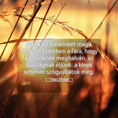 Picture 05 - 1 Péter 2:24 KAR - A ki a mi bûneinket maga vitte fel testében a - Bible Verse Picture