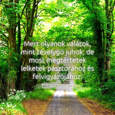 Picture 05 - 1 Péter 2:25 KAR - Mert olyanok valátok, mint tévelygõ juhok; de - Bible Verse Picture
