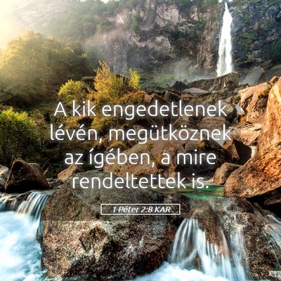 Picture 05 - 1 Péter 2:8 KAR - A kik engedetlenek lévén, megütköznek az - Bible Verse Picture