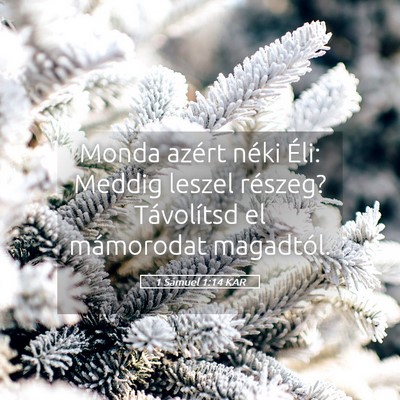 Picture 05 - 1 Sámuel 1:14 KAR - Monda azért néki Éli: Meddig leszel részeg? - Bible Verse Picture