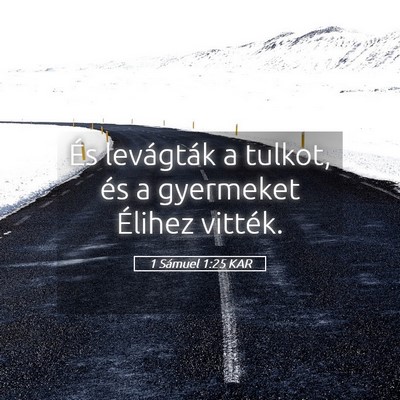 Picture 05 - 1 Sámuel 1:25 KAR - És levágták a tulkot, és a gyermeket Élihez - Bible Verse Picture