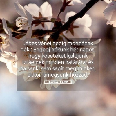 Picture 05 - 1 Sámuel 11:3 KAR - Jábes vénei pedig mondának néki: Engedj - Bible Verse Picture