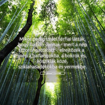 Picture 05 - 1 Sámuel 13:6 KAR - Mikor pedig Izráel férfiai látták, hogy - Bible Verse Picture