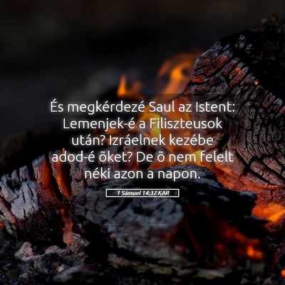 Picture 05 - 1 Sámuel 14:37 KAR - És megkérdezé Saul az Istent: Lemenjek-é a - Bible Verse Picture
