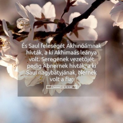 Picture 05 - 1 Sámuel 14:50 KAR - És Saul feleségét Akhinóámnak hívták, a ki - Bible Verse Picture