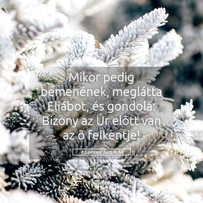 Picture 05 - 1 Sámuel 16:6 KAR - Mikor pedig bemenének, meglátta Eliábot, és - Bible Verse Picture